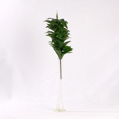Maple Tree Branch (55 cm)