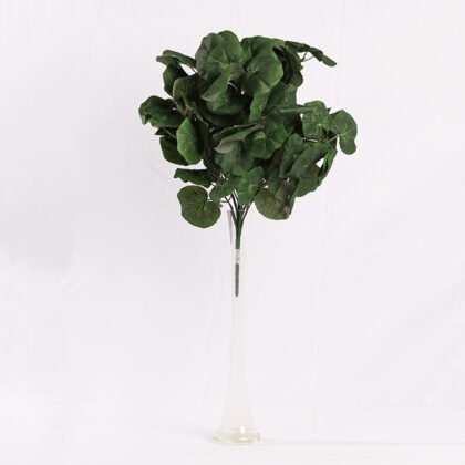 Philodendron Accessory Branch