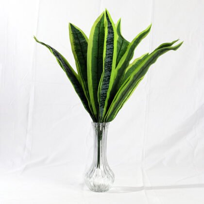 Dracaena Fragrans Branch