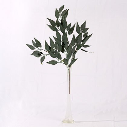 Camphor Branch (65 cm)