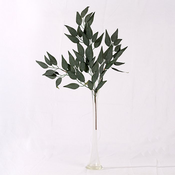 Camphor Branch (65 cm)