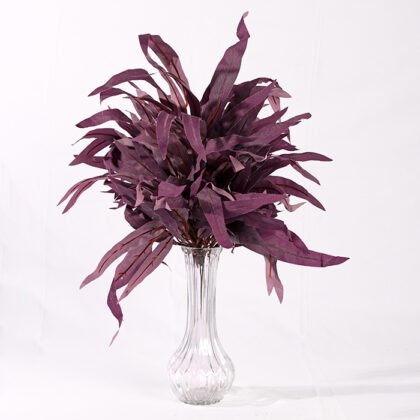 Dracaena Branch (28 cm)