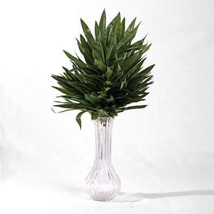 Maple Branch (27 cm)