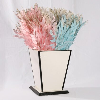 Feather Colors Branch