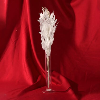 Feather Colors Branch