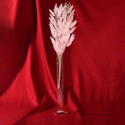 Feather Colors Branch