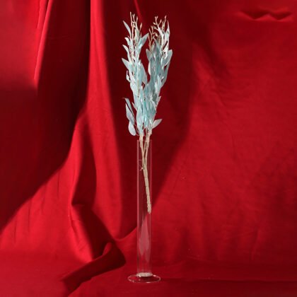 Feather Colors Branch