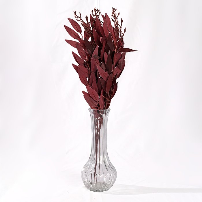 Feather Colors Branch