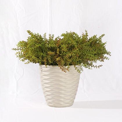 Tree Accessory (25 cm)
