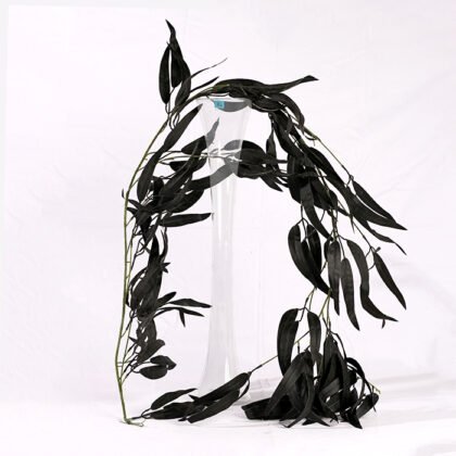 Camphor Waterfall Rope (170 cm)