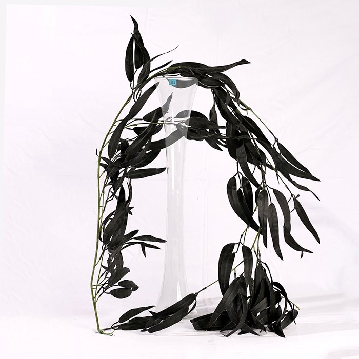 Camphor Waterfall Rope (170 cm)