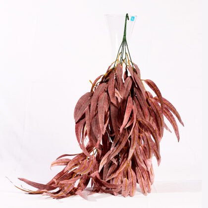 Camphor Waterfall (70 cm) Accessory