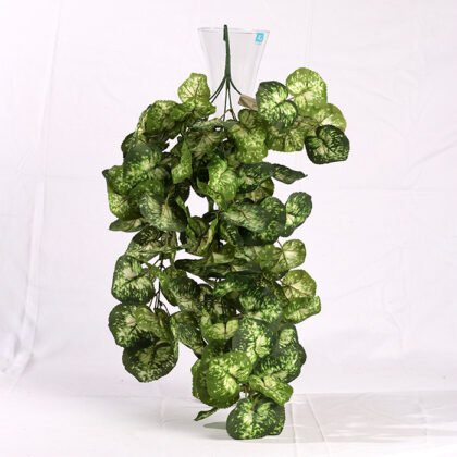 Camphor Waterfall (70 cm) Accessory