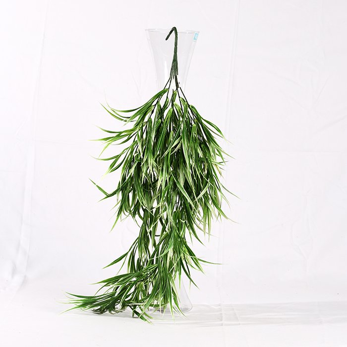 Dracaena Waterfall (70 cm) Accessory