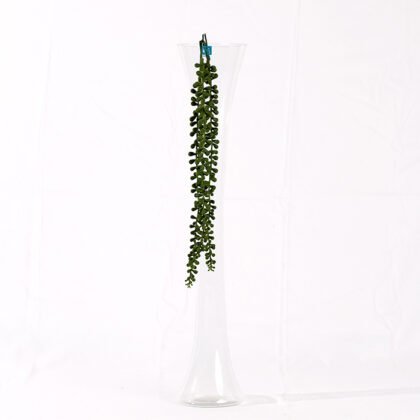 Eucalyptus Waterfall (70 cm) Accessory
