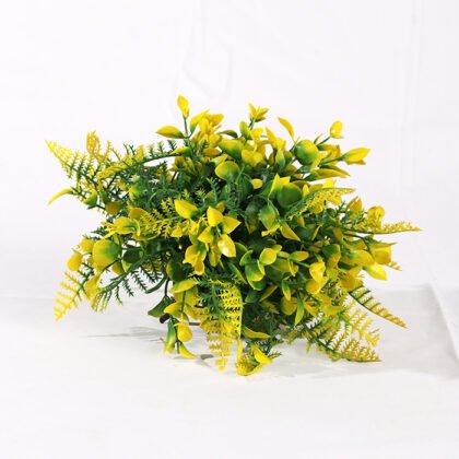 Dwarf Fougere Colors