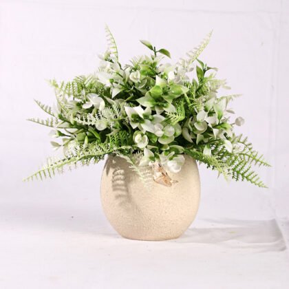 Dwarf Fougere Colors