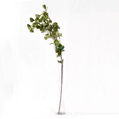 Camphor Colors Branch (90 cm)