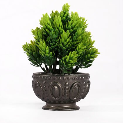 Didis Porcelain Dwarf